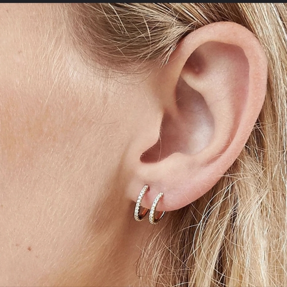 Shashi Erin Pave Hoop - Picture 1 of 2